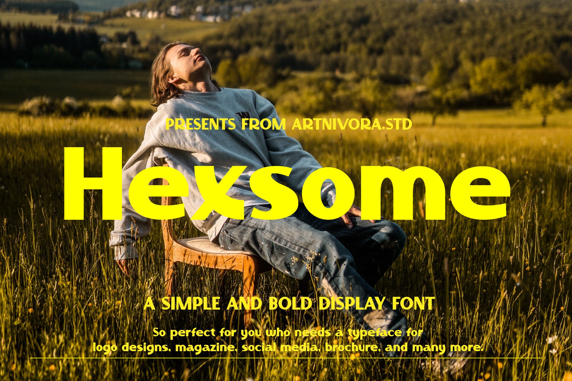 Hexsome - Display Fontcover image.