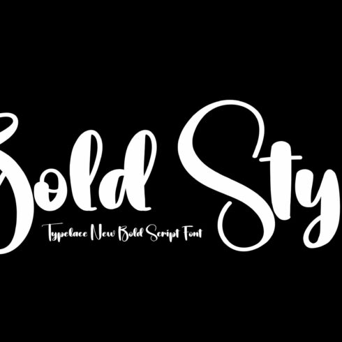 Bold Style | Script Font cover image.