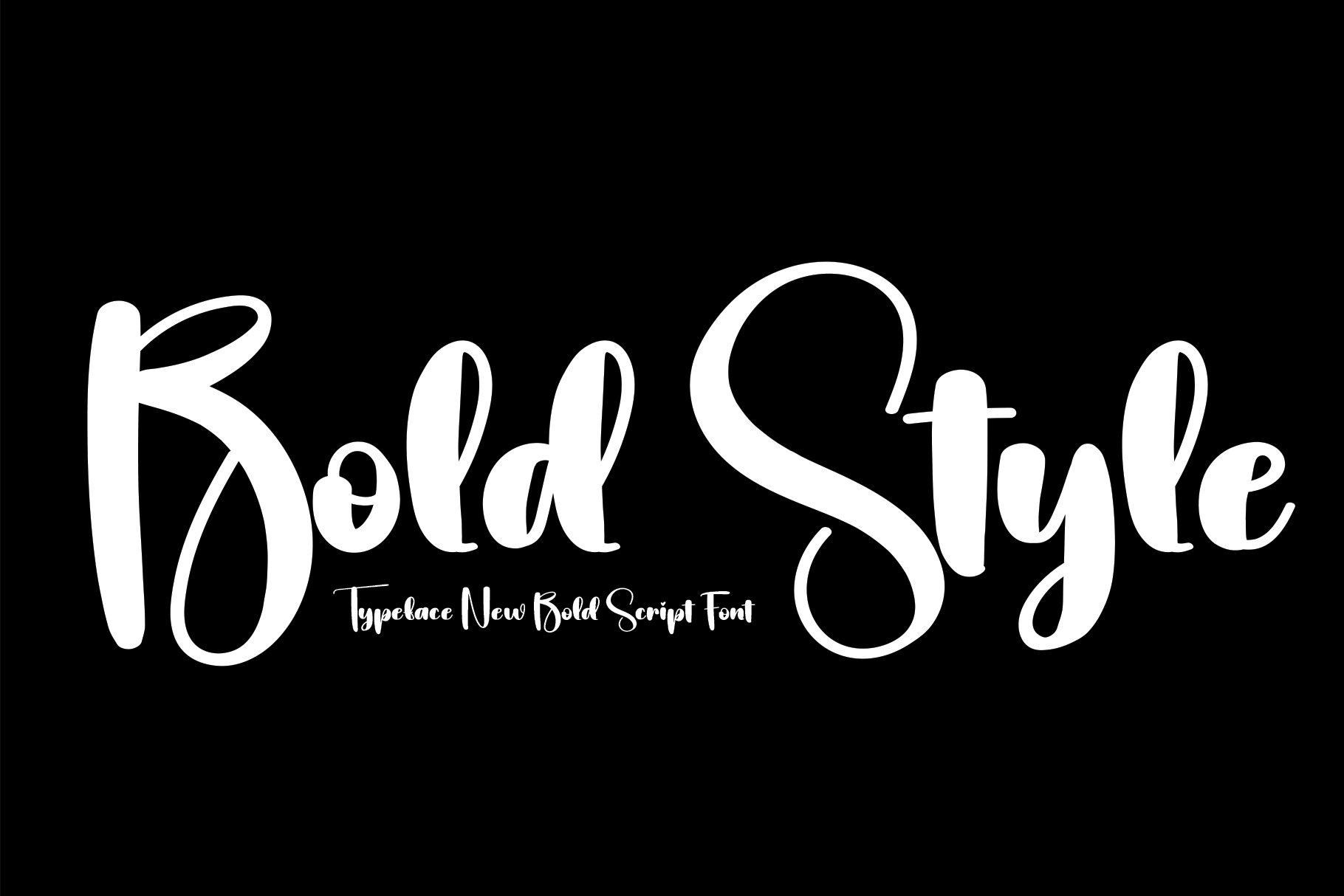 Bold Style | Script Font cover image.