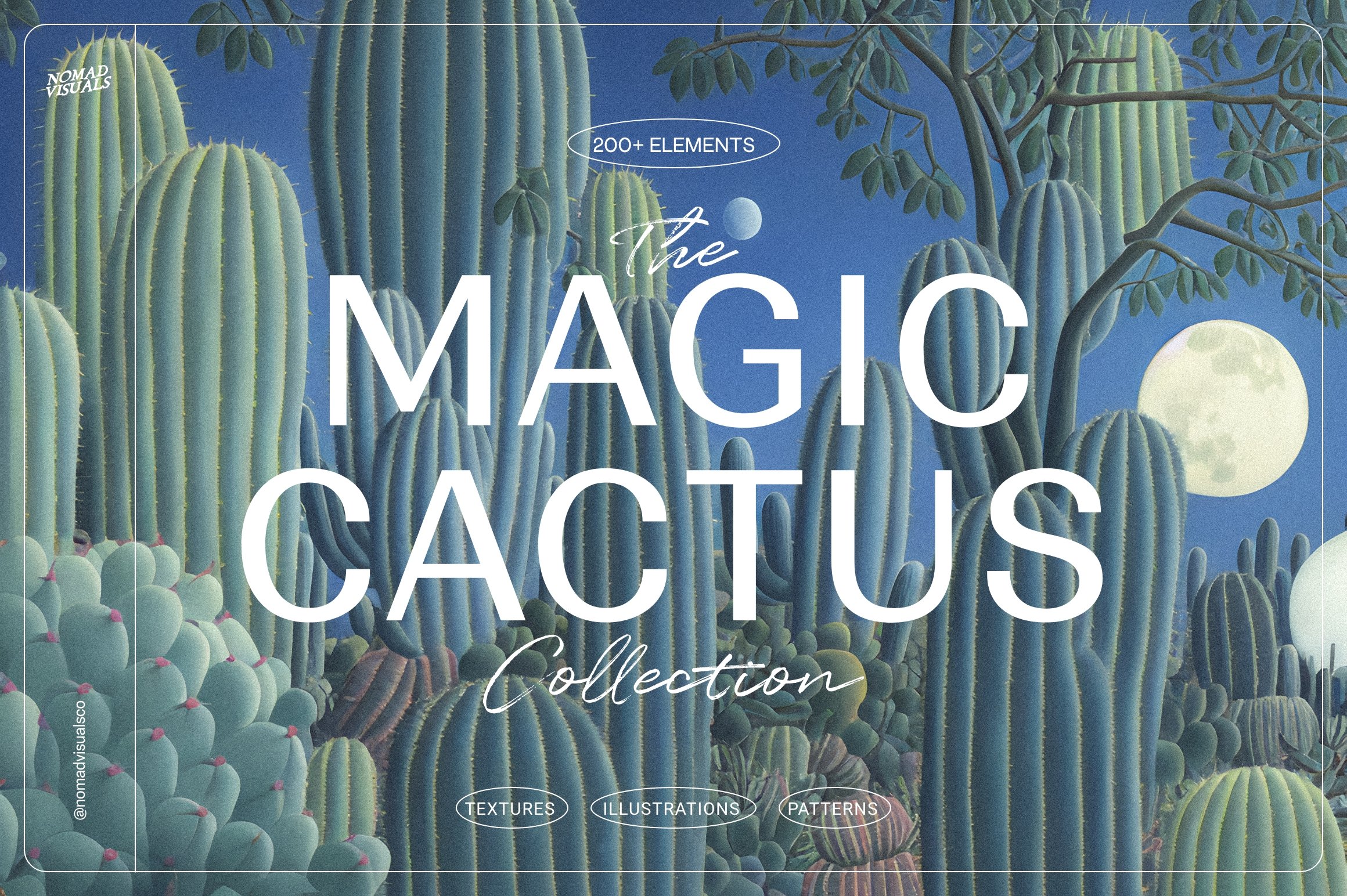 Magic Cactus cover image.