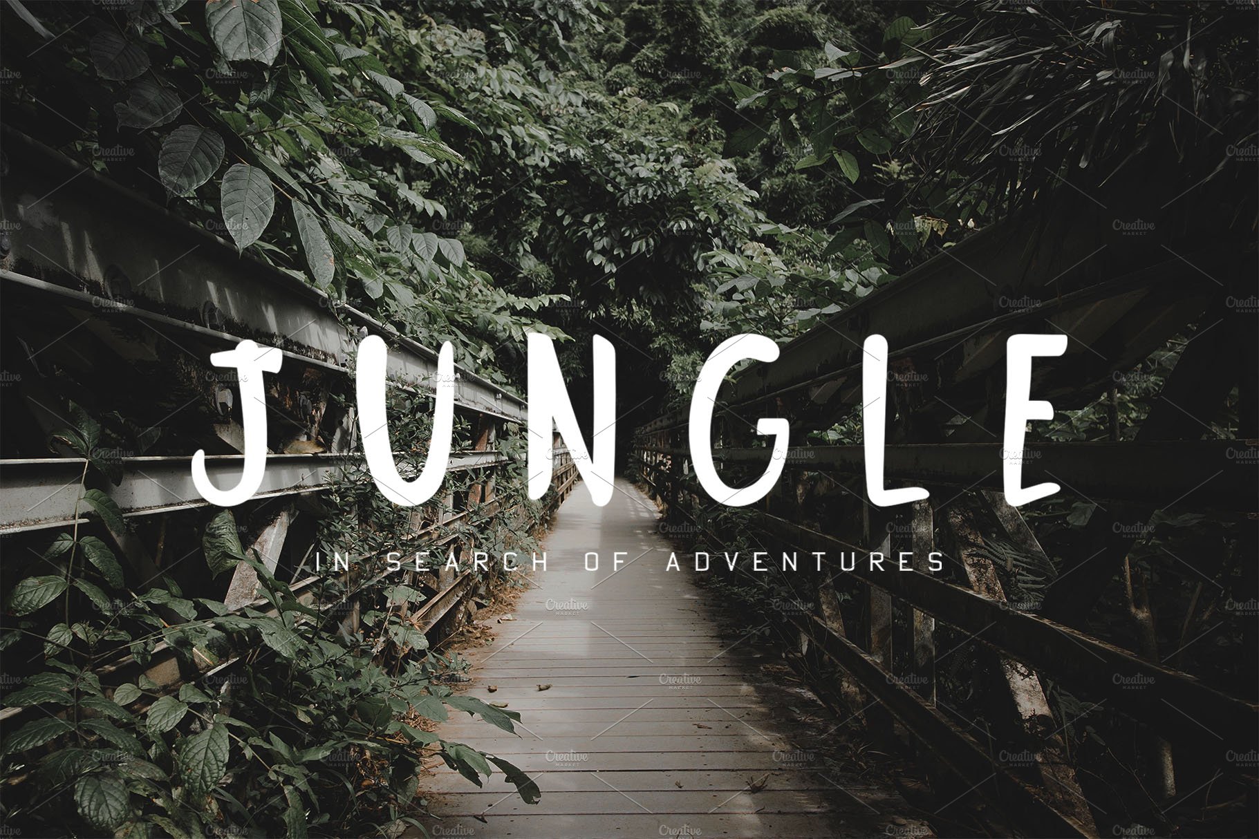 Jungle Display Font cover image.