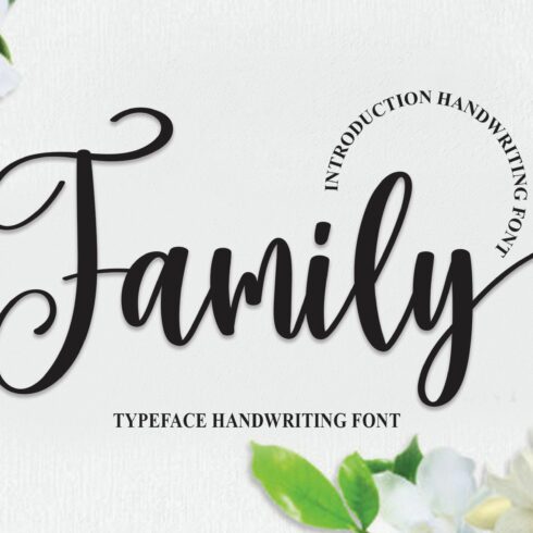 Family | Script Font cover image.