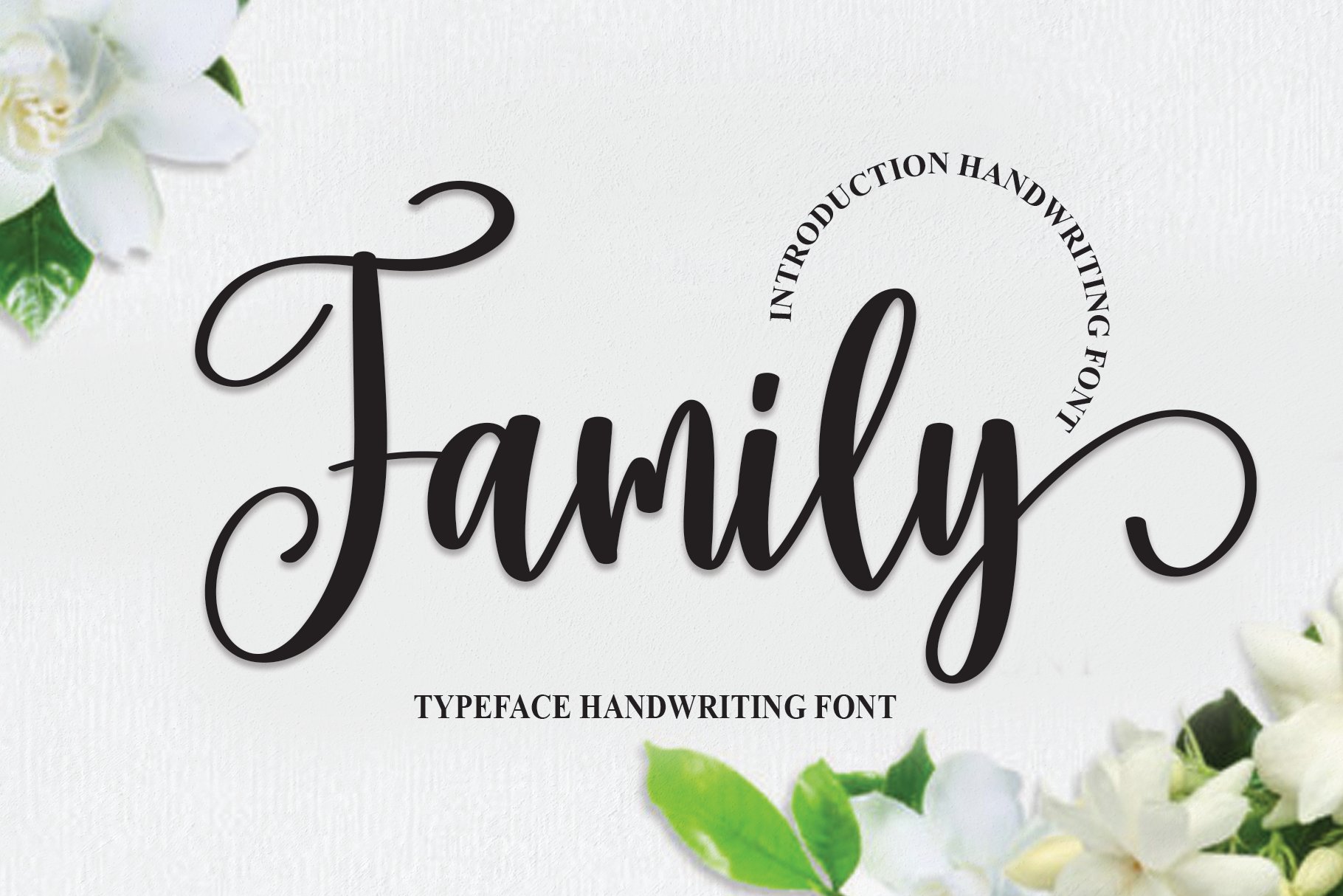 Family | Script Font cover image.