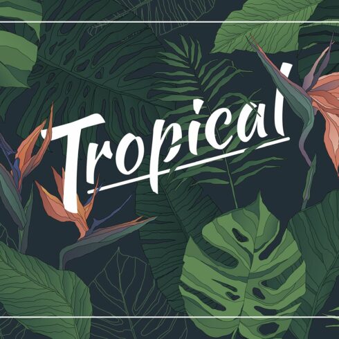 Tropical Set cover image.