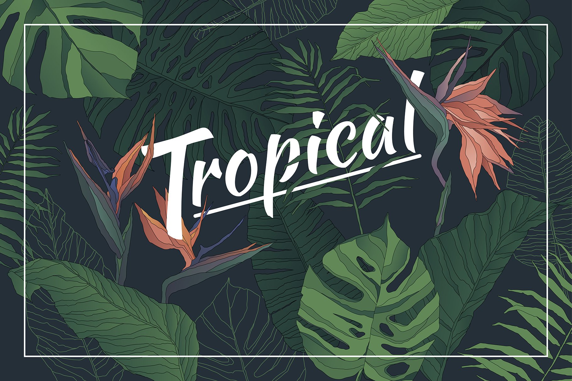 Tropical Set cover image.
