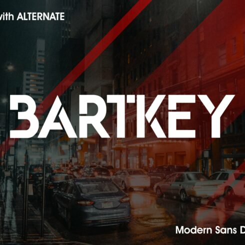 BARTKEY cover image.