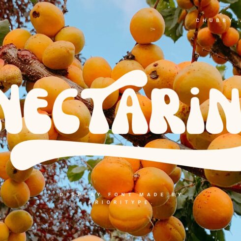 Nectarine - Display Font cover image.