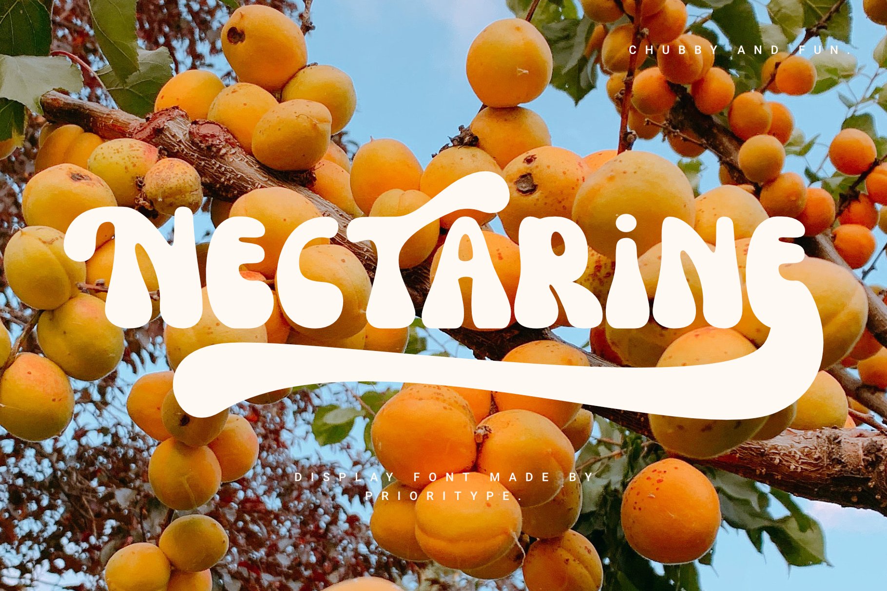 Nectarine - Display Font cover image.