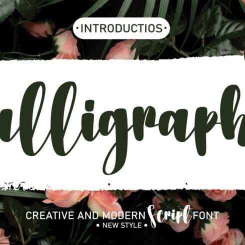 Calligraphy | Handwriten Font cover image.