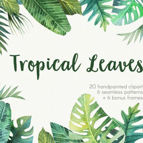 Tropical leaves cover image.