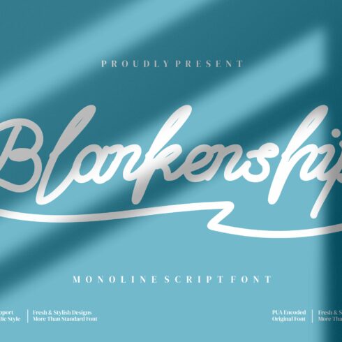 Blankenship - Monoline Script style cover image.