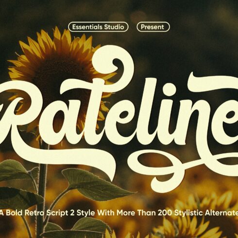 Rateline - Retro Script Font 2 Stylecover image.