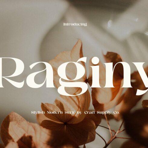 Raginy - Stylish Modern Serif cover image.