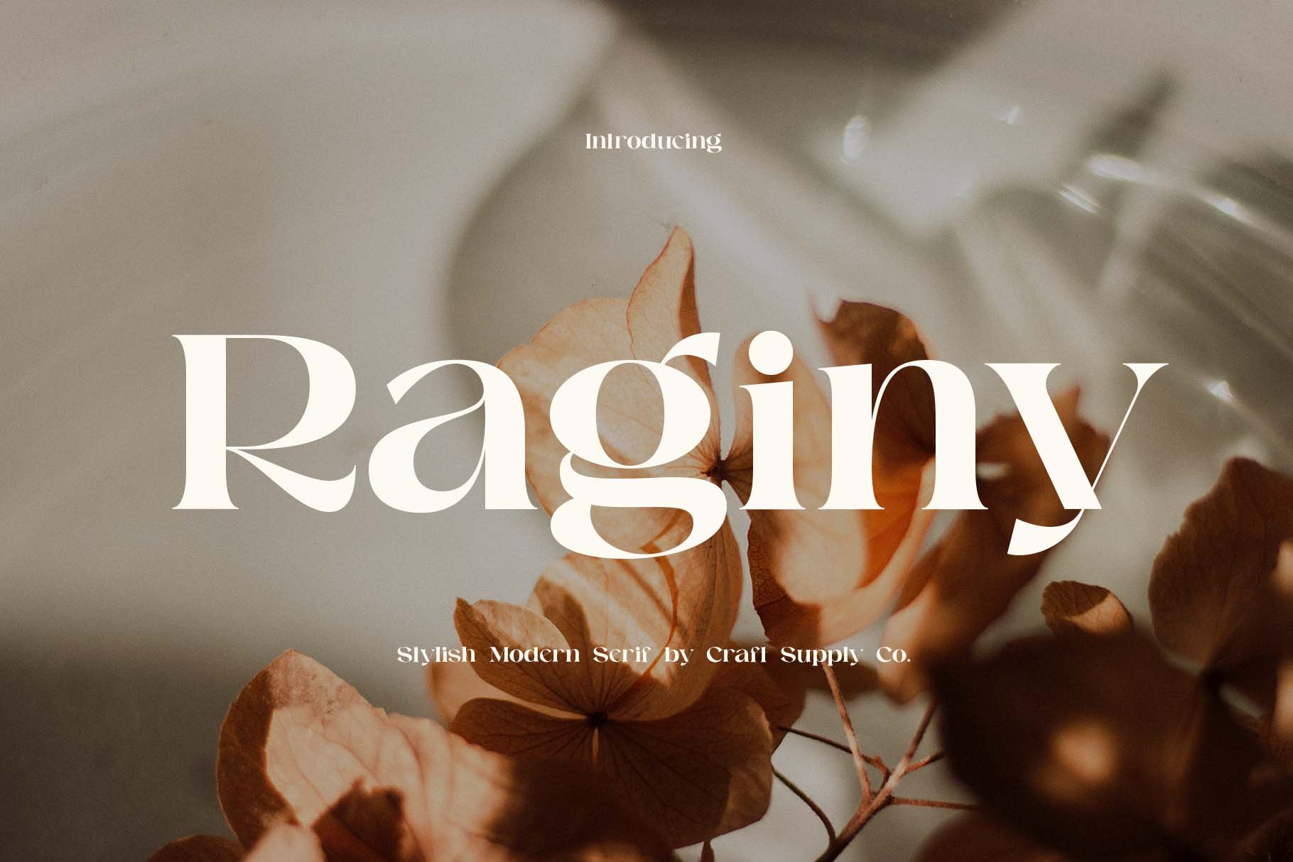 Raginy - Stylish Modern Serif cover image.