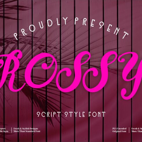 Rossy Script style font cover image.