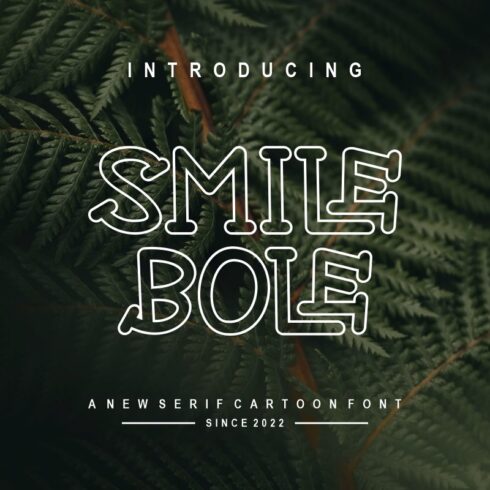 SmileBole cover image.