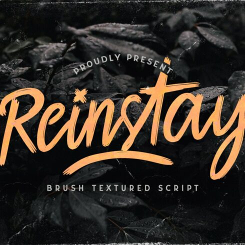 Reinstay - Brush Script Font cover image.