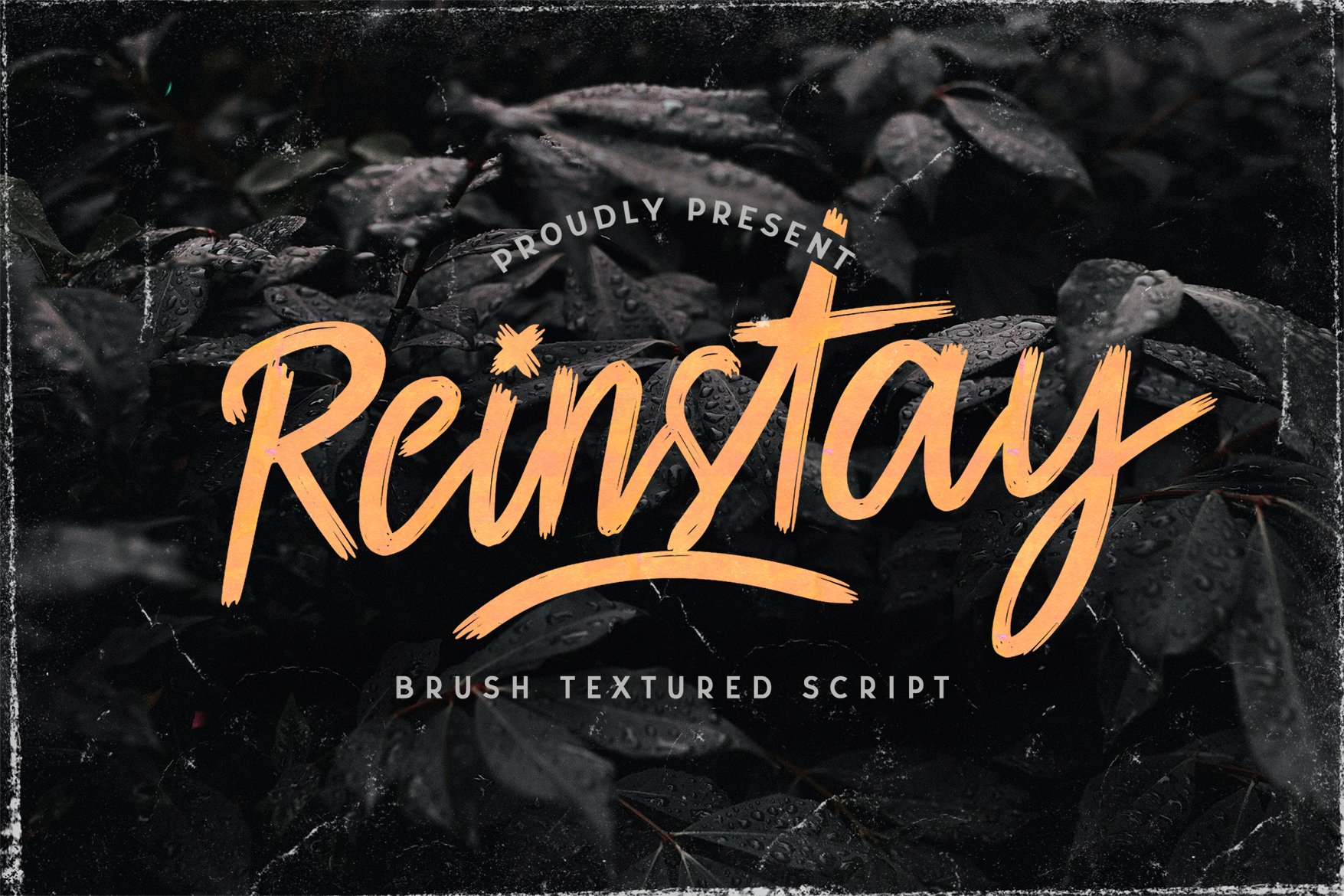 Reinstay - Brush Script Font cover image.