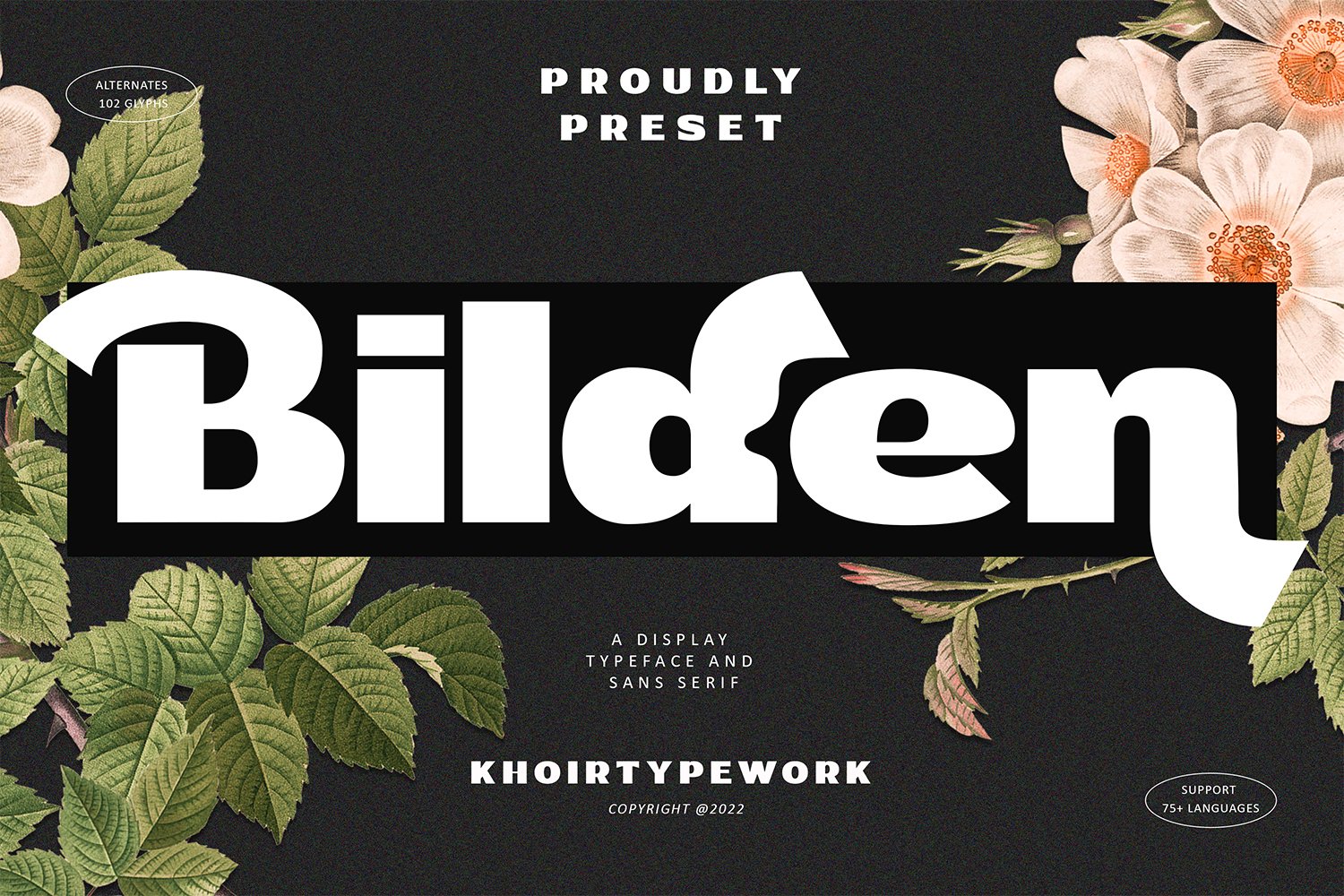 Bilden - Modern font cover image.