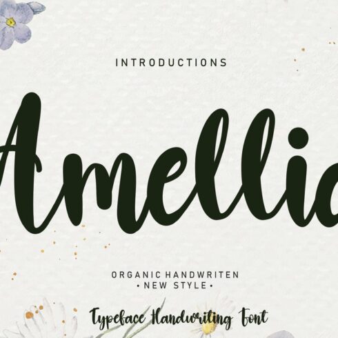 Amellia | Script font cover image.