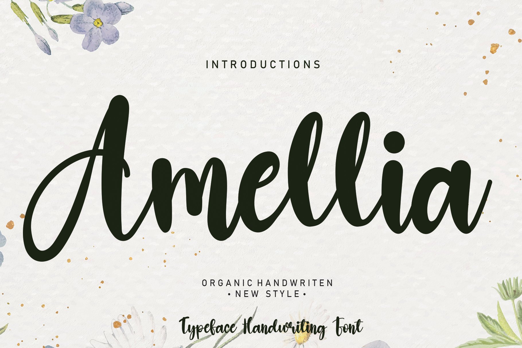 Amellia | Script font cover image.