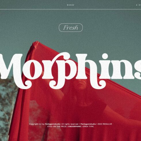 Morphins | Display Serifcover image.