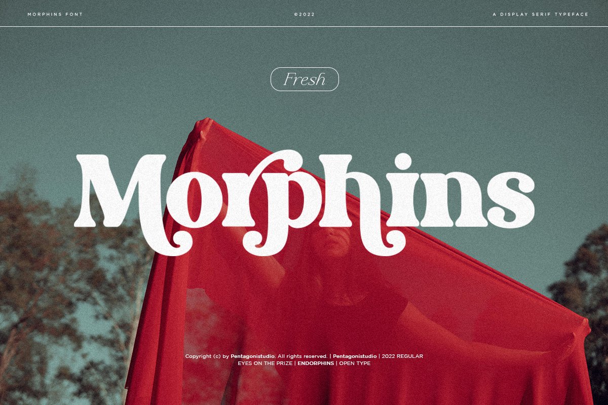 Morphins | Display Serifcover image.