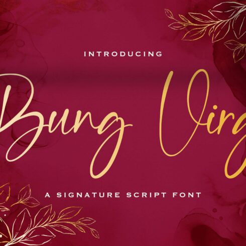 Bung Virgi - Signature Script Font cover image.