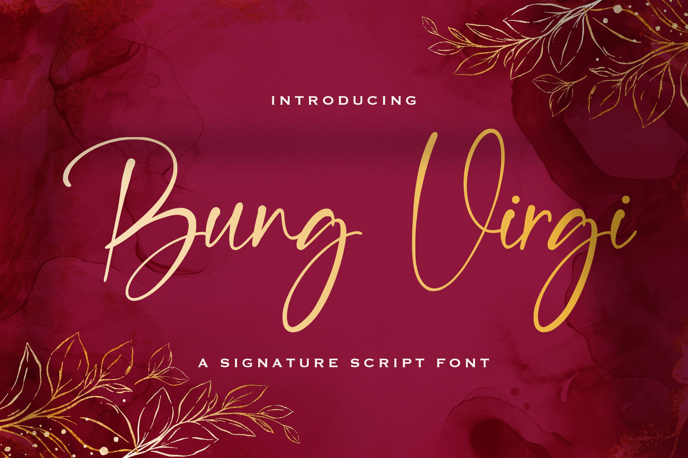 Bung Virgi - Signature Script Font cover image.
