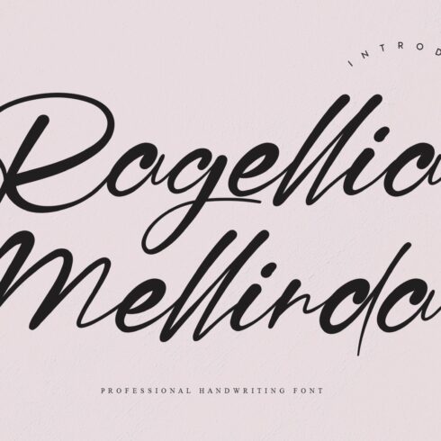 Ragellia Mellinda | handwritten font cover image.