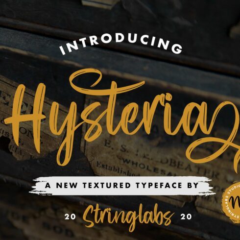 Hysteria - Stylish Script Font cover image.