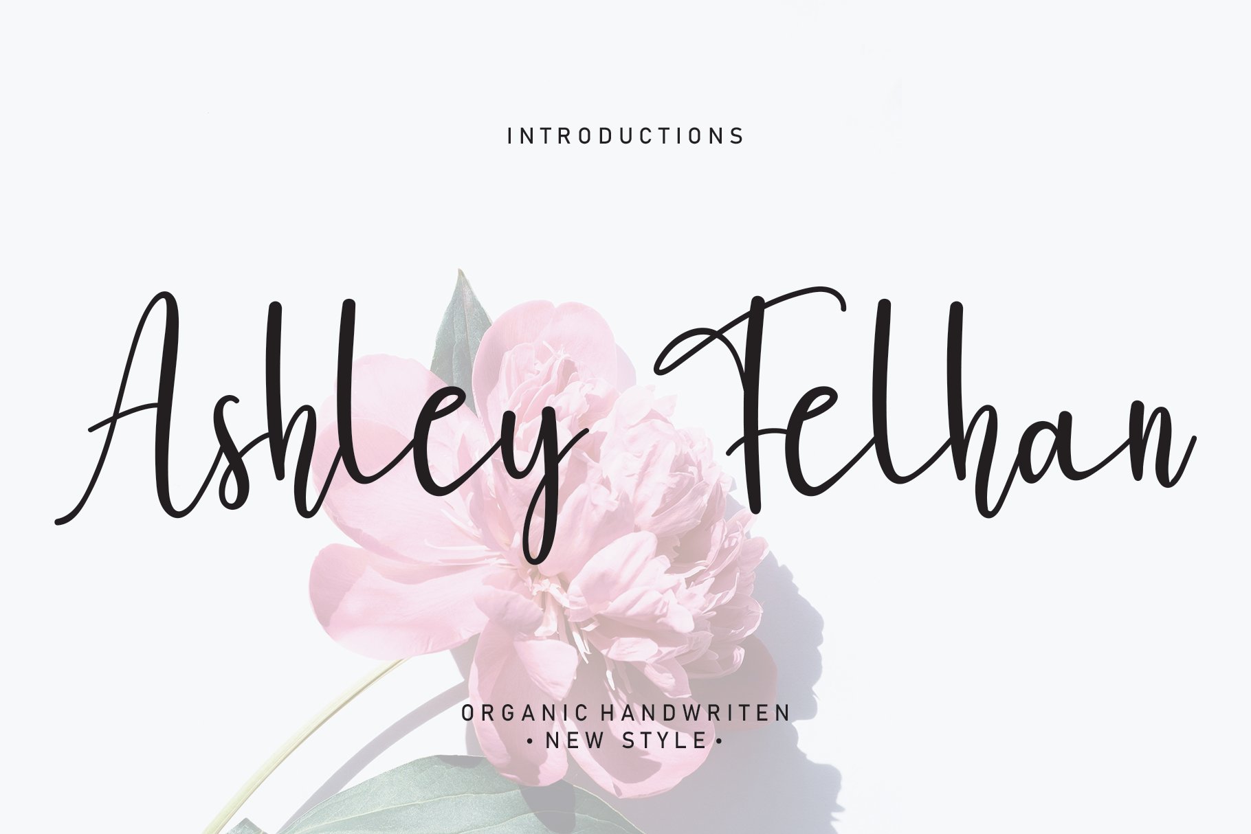 Ashley Felhan | Script font cover image.