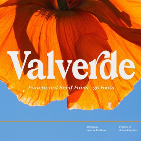 Valverde Functional Serif-36 Fonts cover image.
