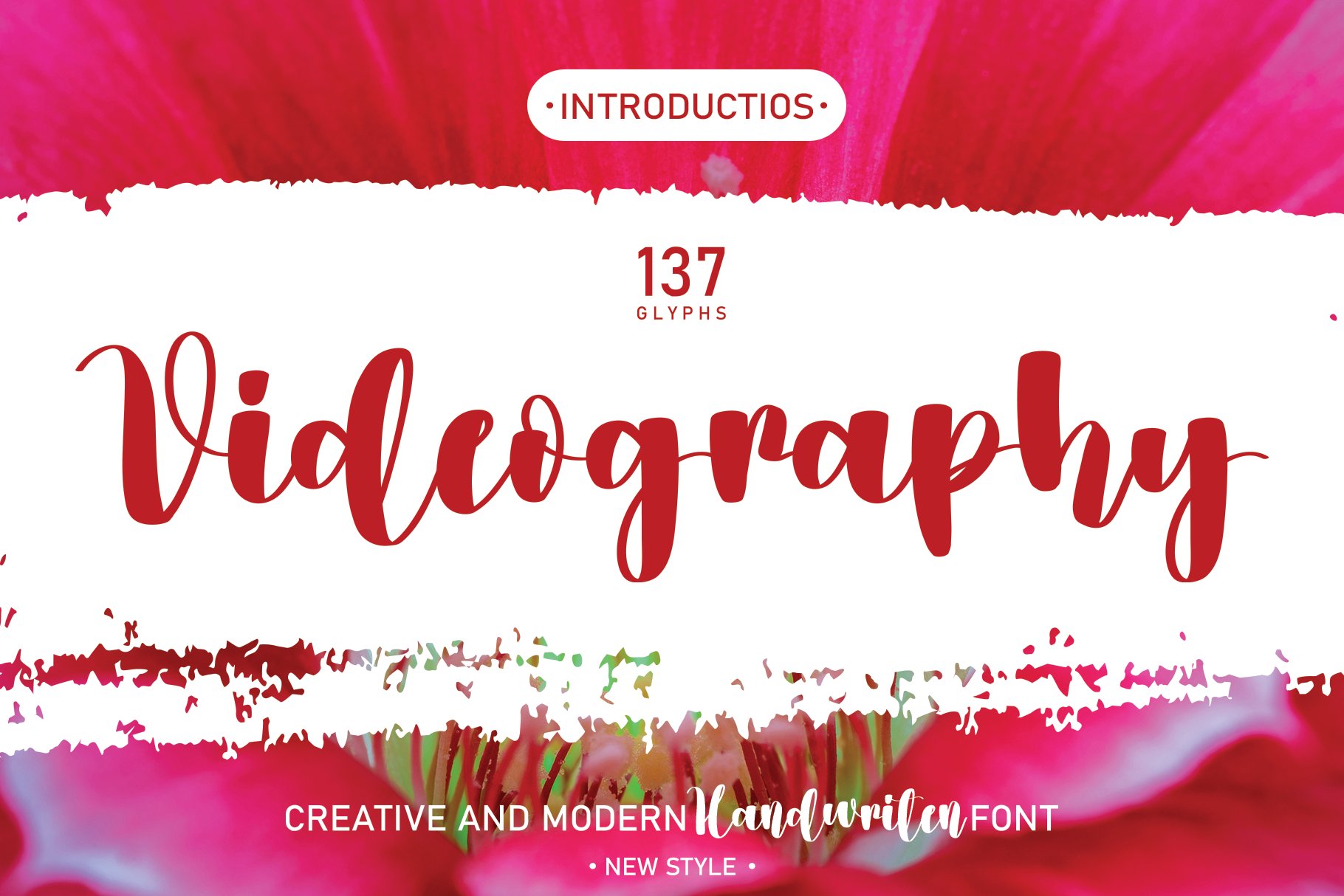 Videography | Handwriten Font cover image.