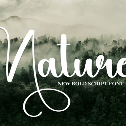 Nature | Script Font cover image.