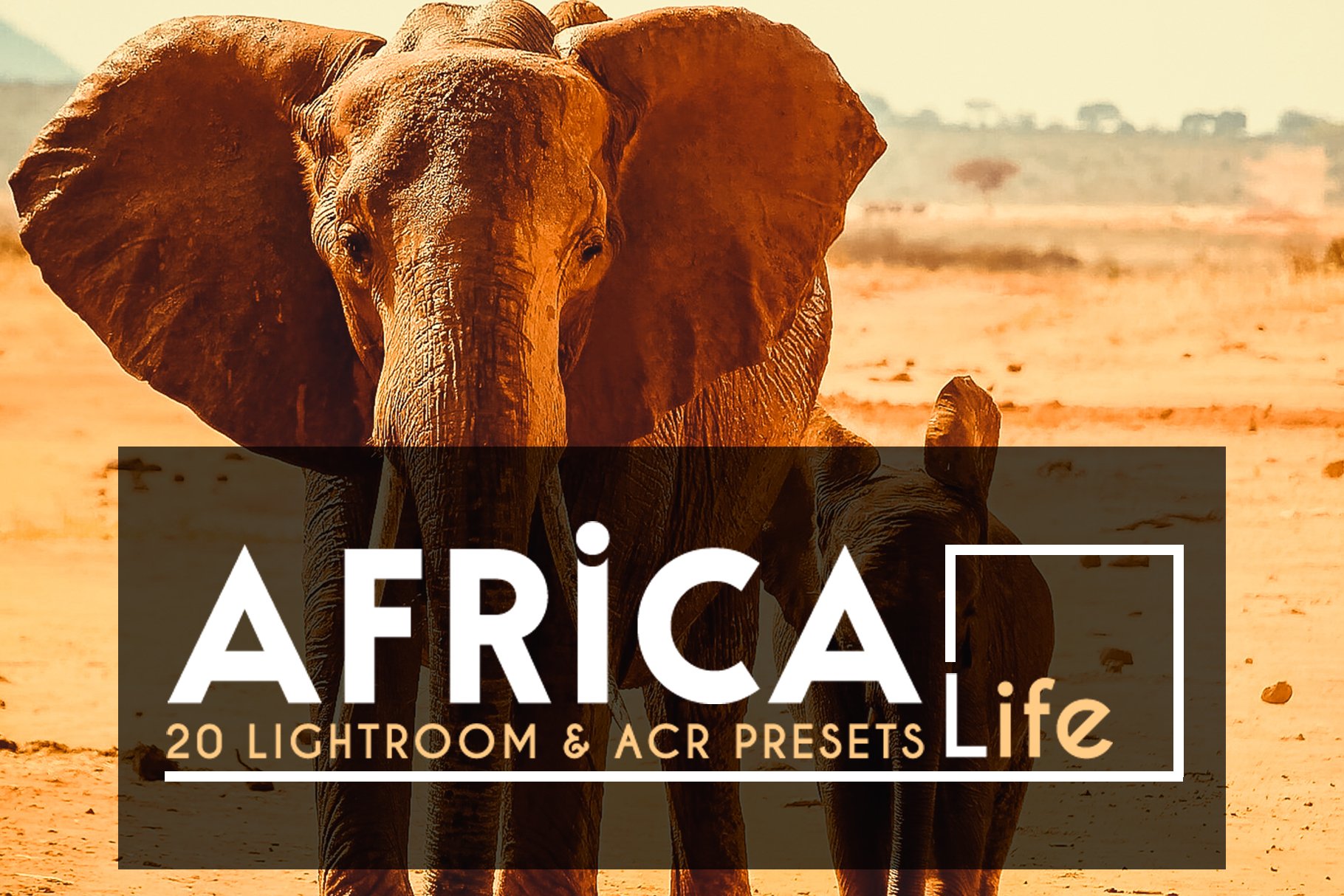 20 Africa Life Lightroom &ACR Presetcover image.