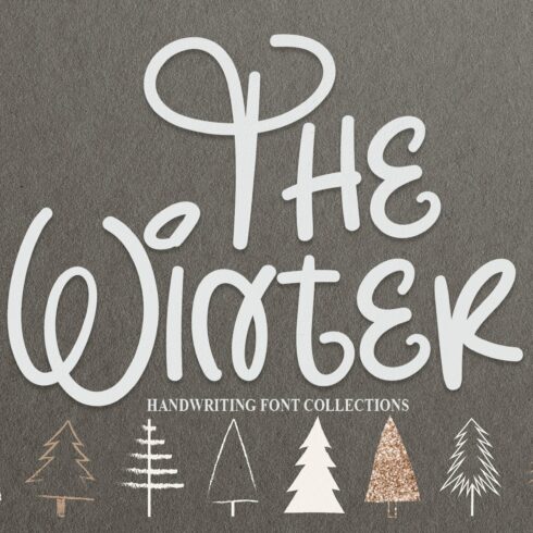 The Winter | Script Font cover image.