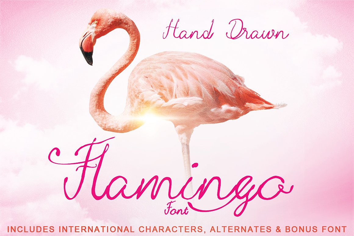 Hand Drawn Flamingo Font cover image.