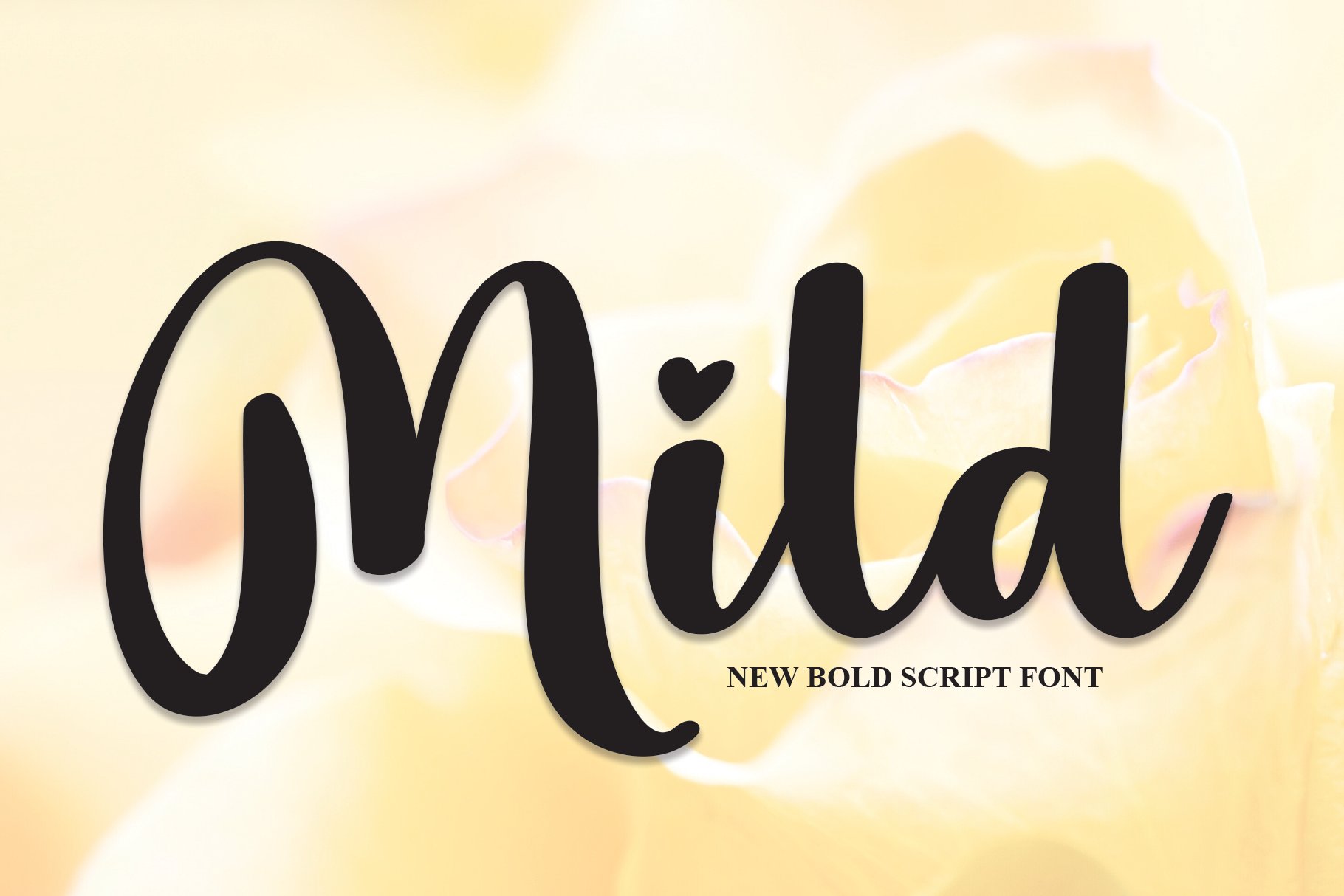 Mild | Script Font cover image.