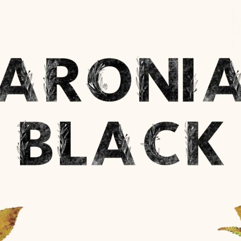 ARONIA BLACK Typeface cover image.