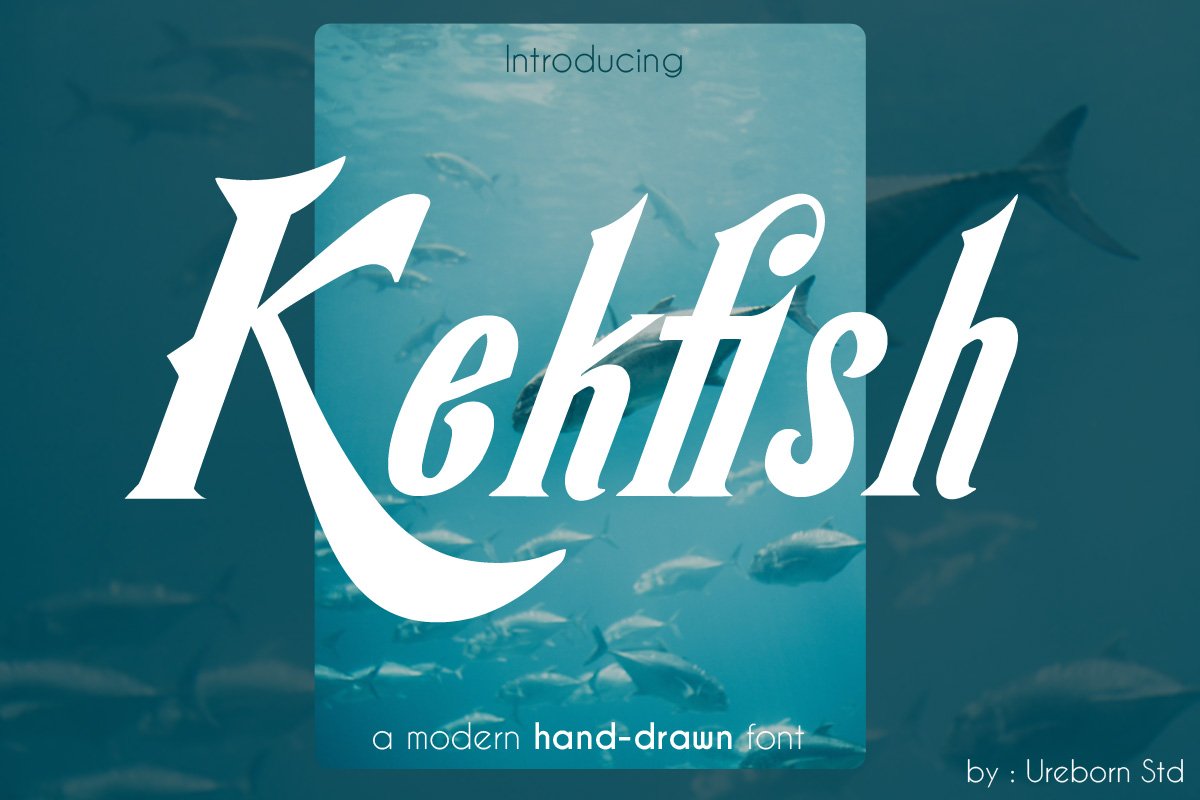 Kekfish - Modern Handdrawn Display cover image.