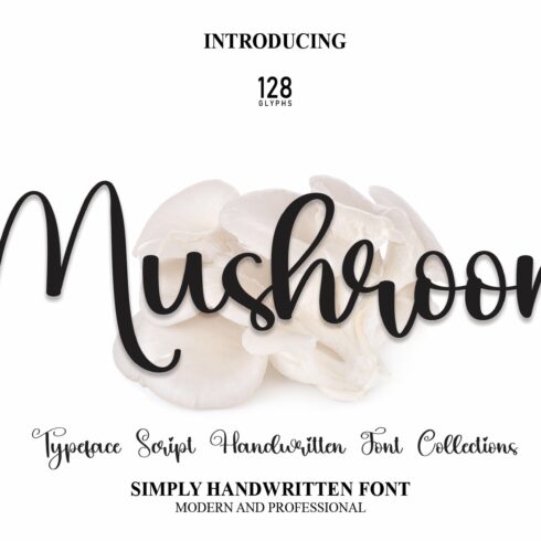 Mushroom | Script Font cover image.