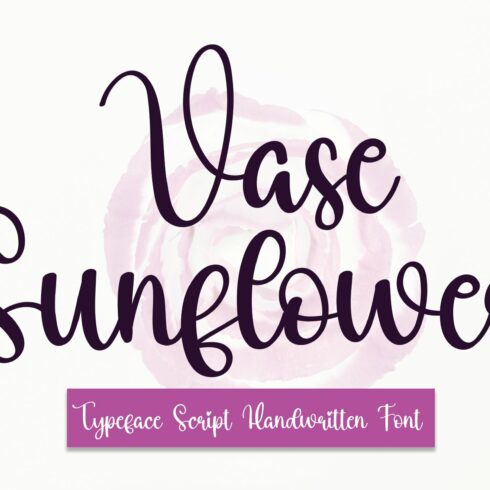 Vase Sunflower | Script Font cover image.