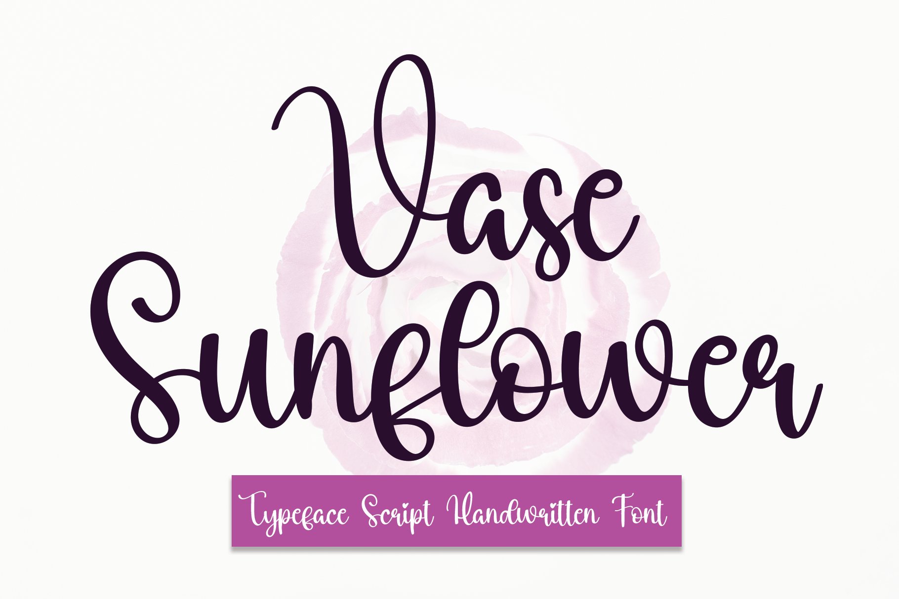 Vase Sunflower | Script Font cover image.