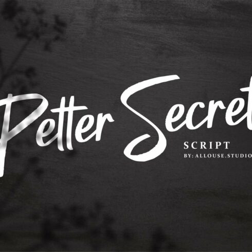 Petter Secret Font cover image.