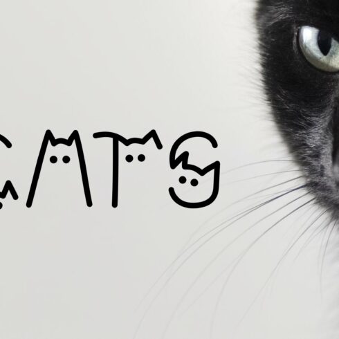 Cats cover image.