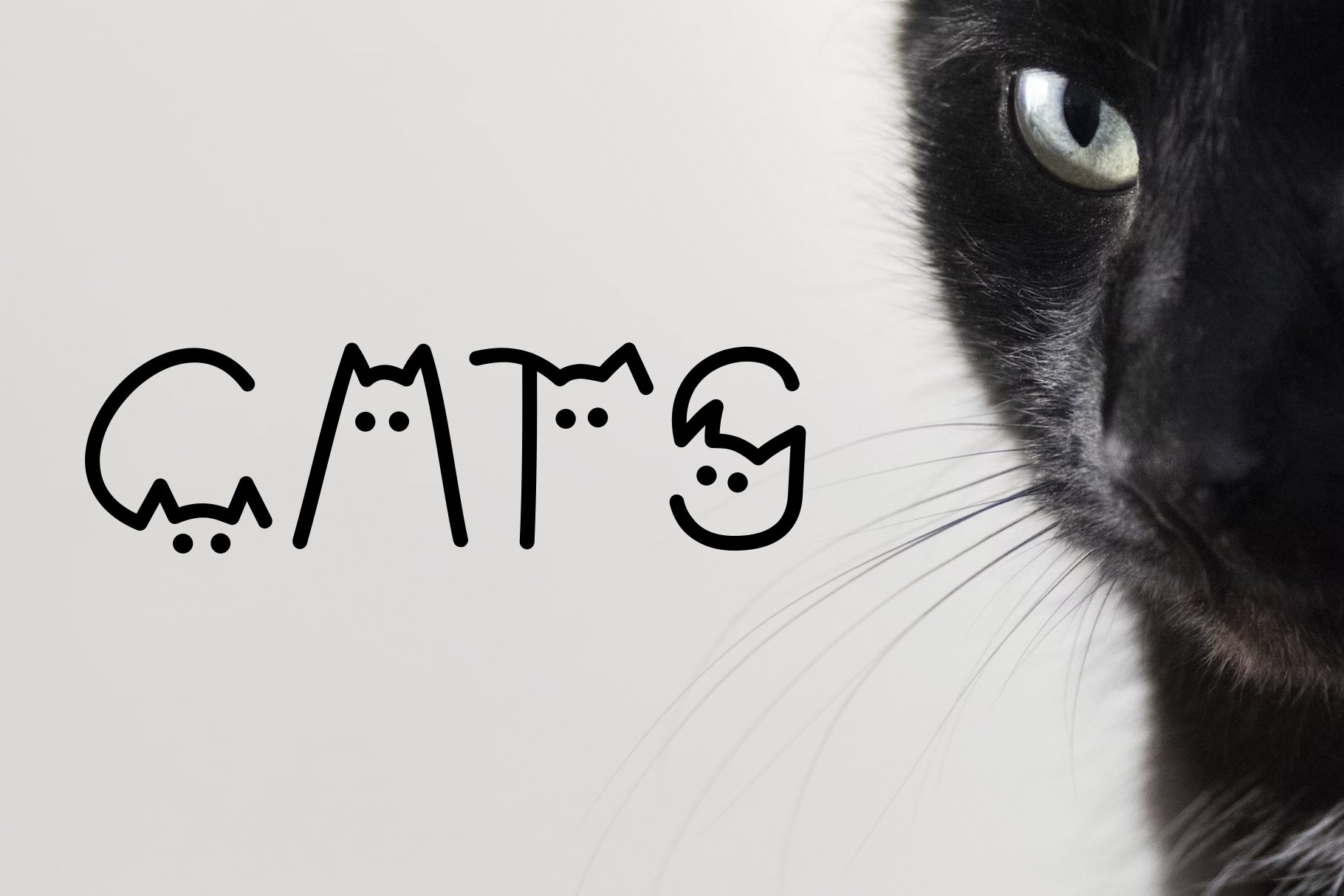 Cats cover image.