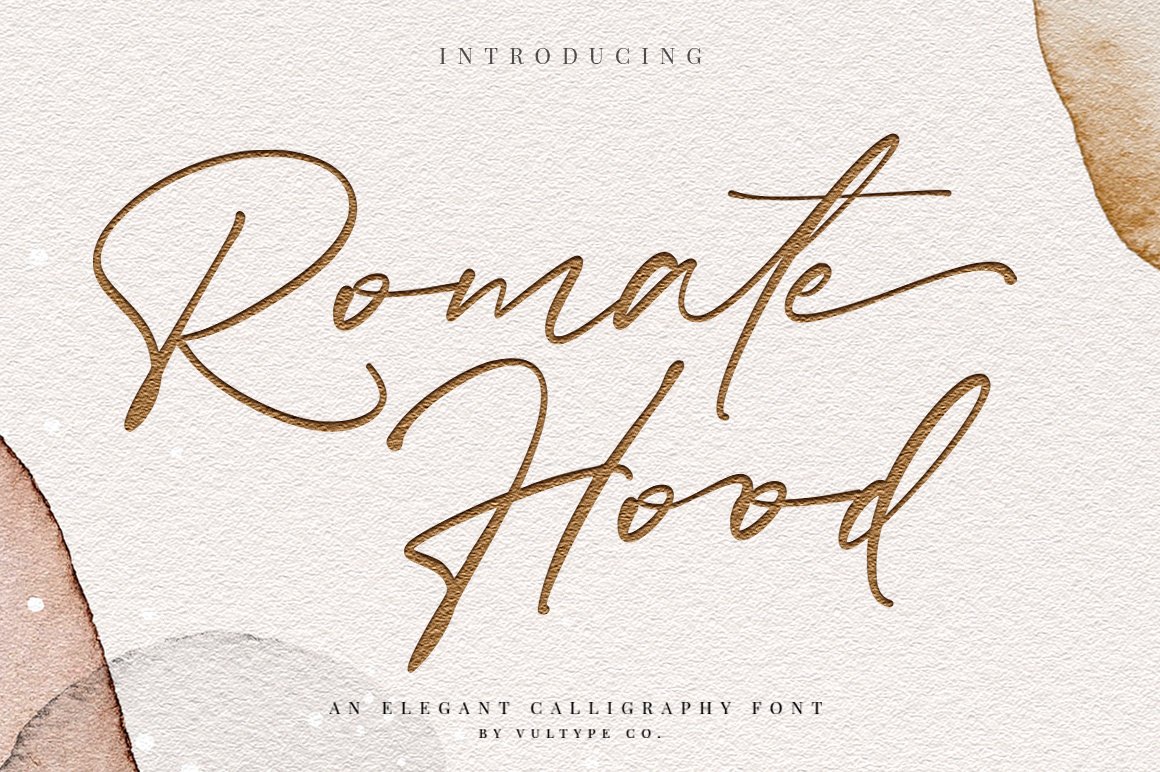 SALE ! Romate Hood Script + Swash cover image.