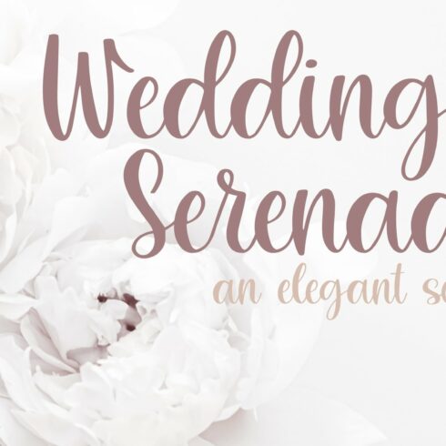 Wedding Serenade, Wedding Script cover image.