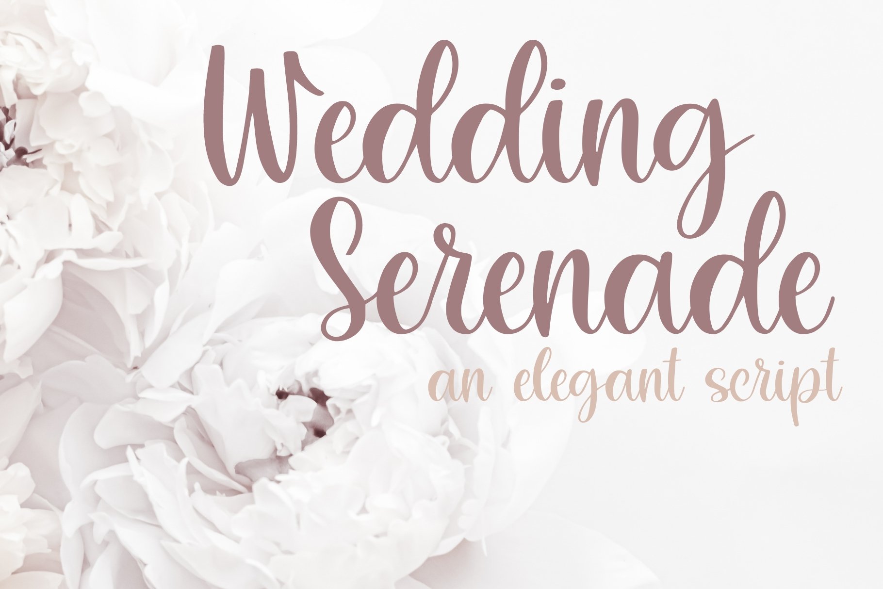 Wedding Serenade, Wedding Script cover image.